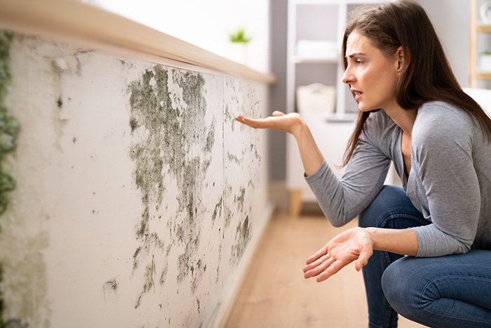 Comment repérer et nettoyer les moisissures dans la maison?